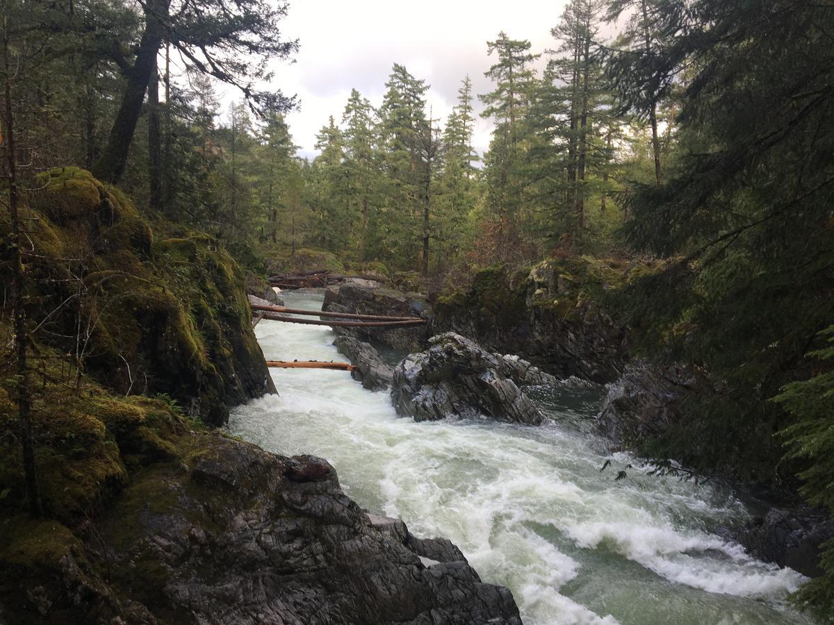 Ashling Cottage Qualicum Beach Esterno foto