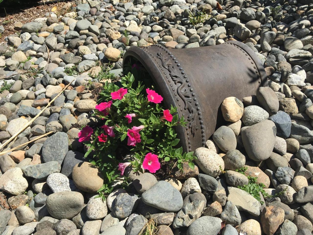 Ashling Cottage Qualicum Beach Esterno foto